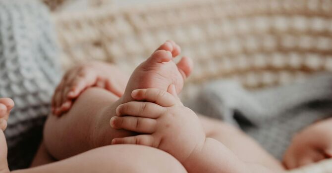 What Is Sprouts? Supporting Your Toddler's Brain During the Years That Matter Most